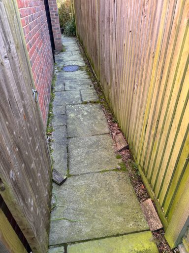 Dirty side path